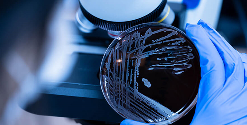 Microbial Testing Technologies